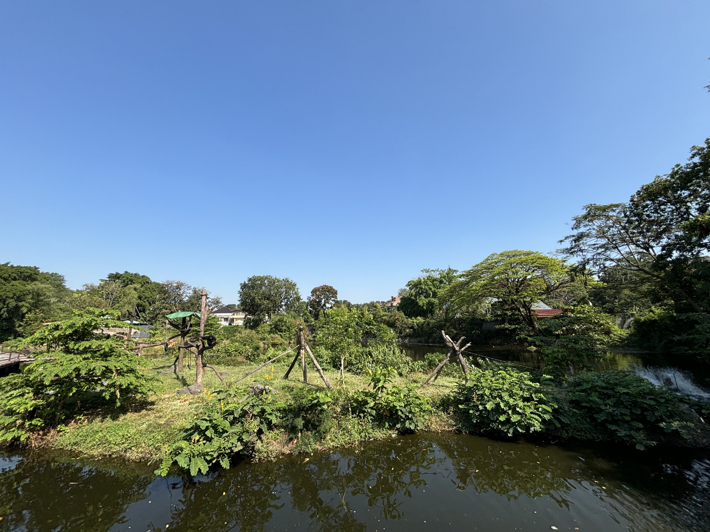 Siamang Exhibit - Solo Safari