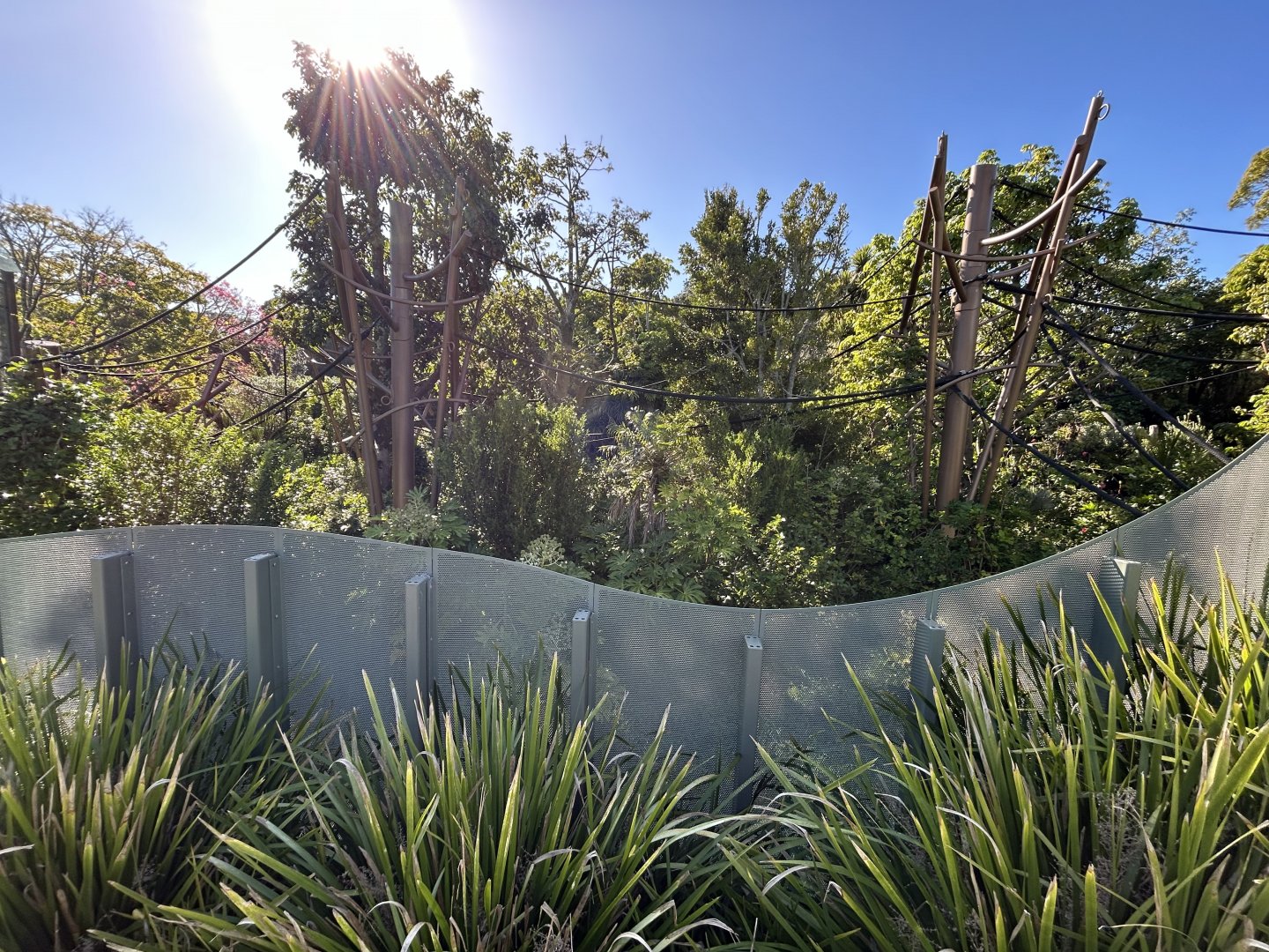 Siamang Exhibit - Southeast Asian Jungle Track