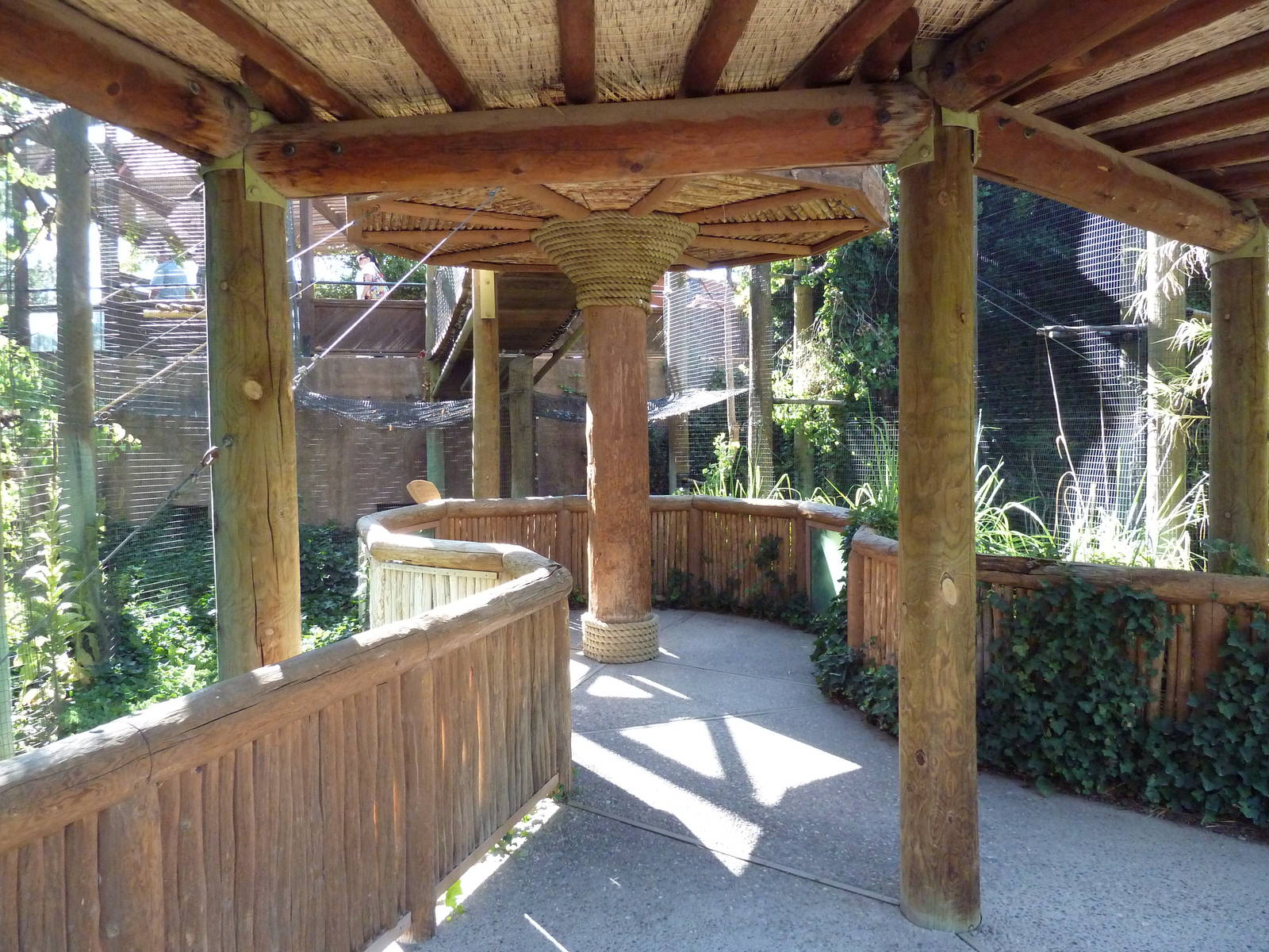 Siamang Exhibit - Viewing Area