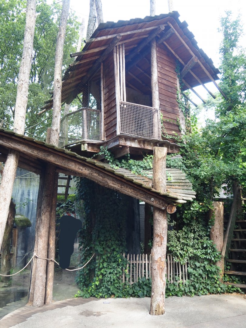 Siamang exhibit viewing areas, 2023-09-24