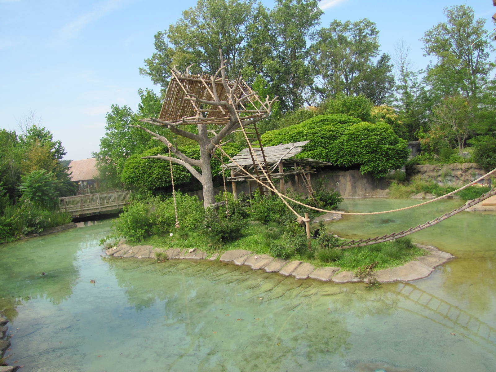 Siamang Exhibit
