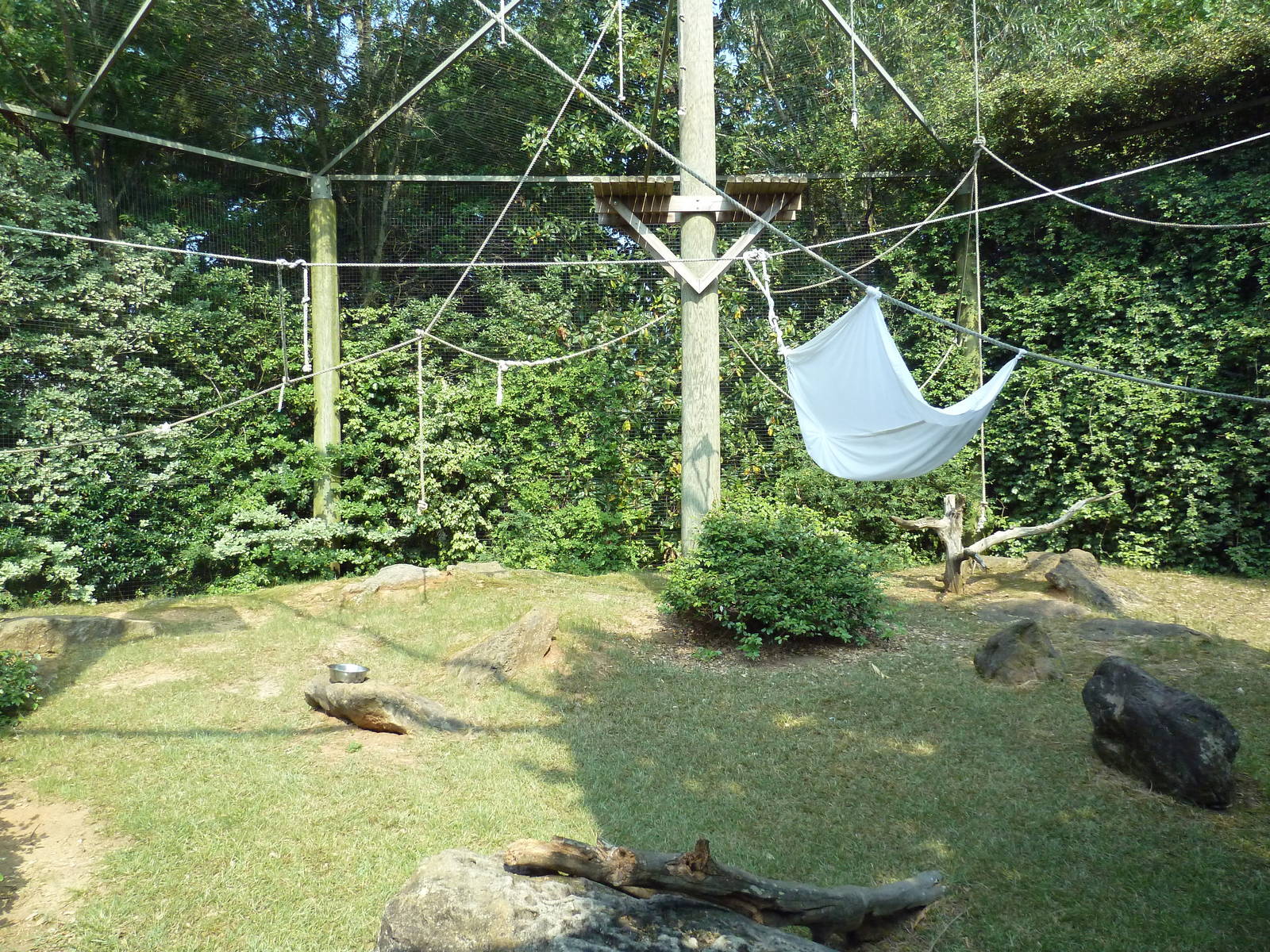 Siamang Exhibit