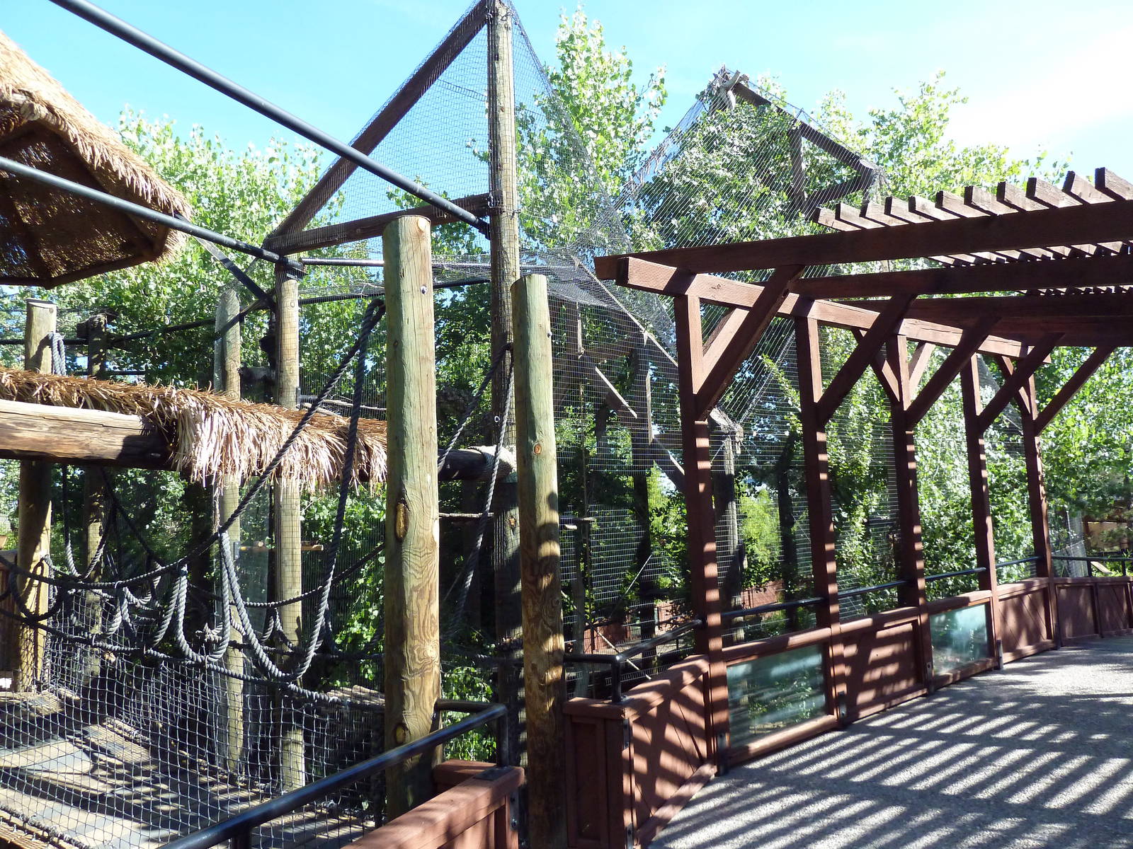 Siamang Exhibit