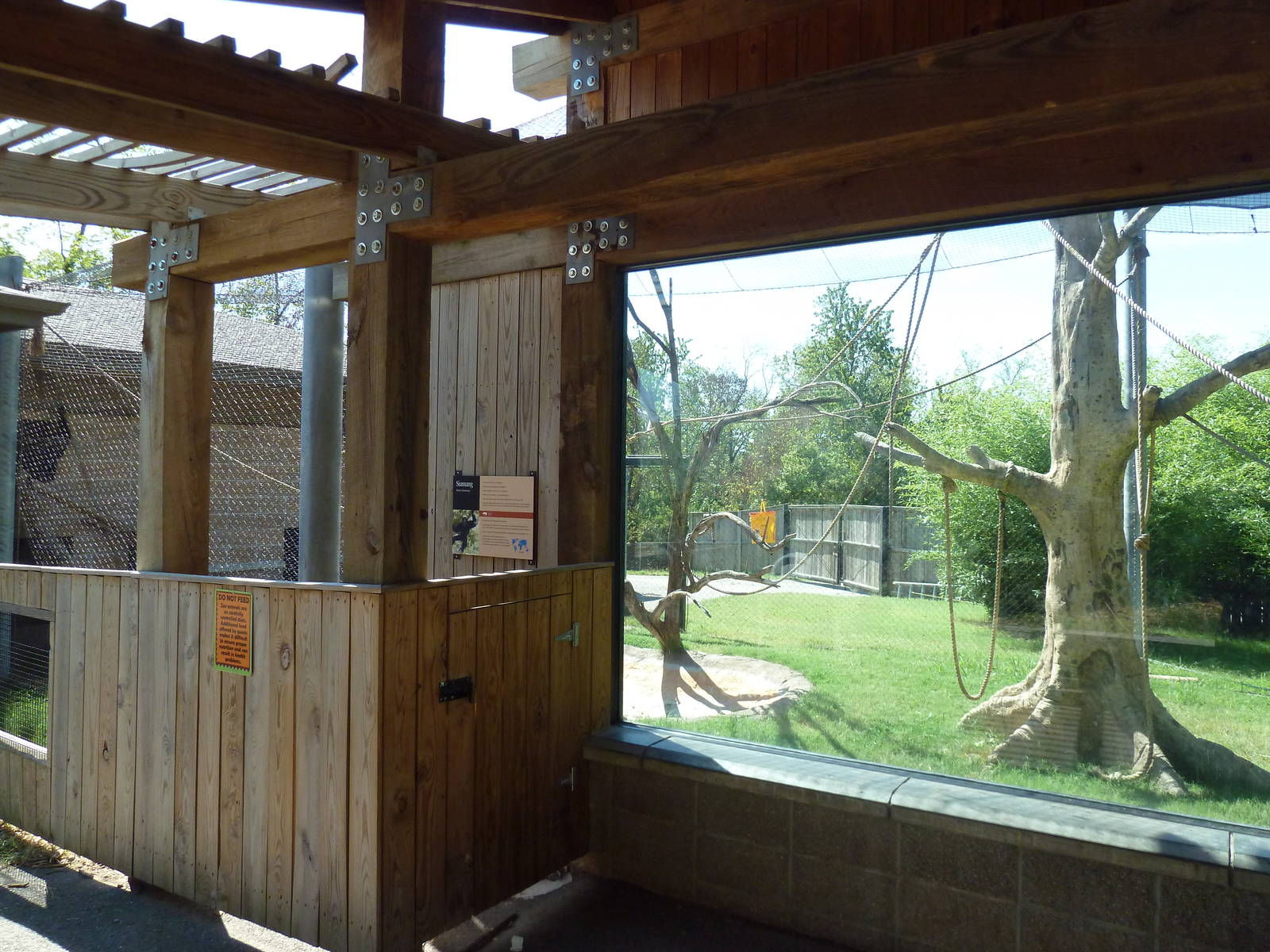 Siamang Exhibit