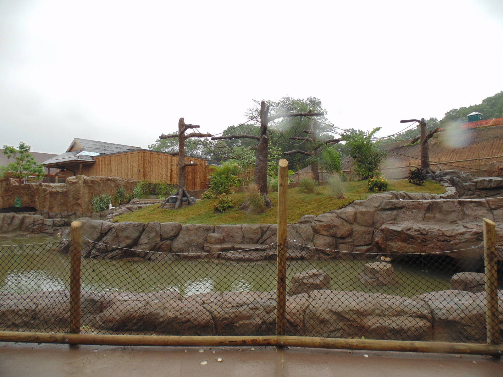 Siamang Exhibit