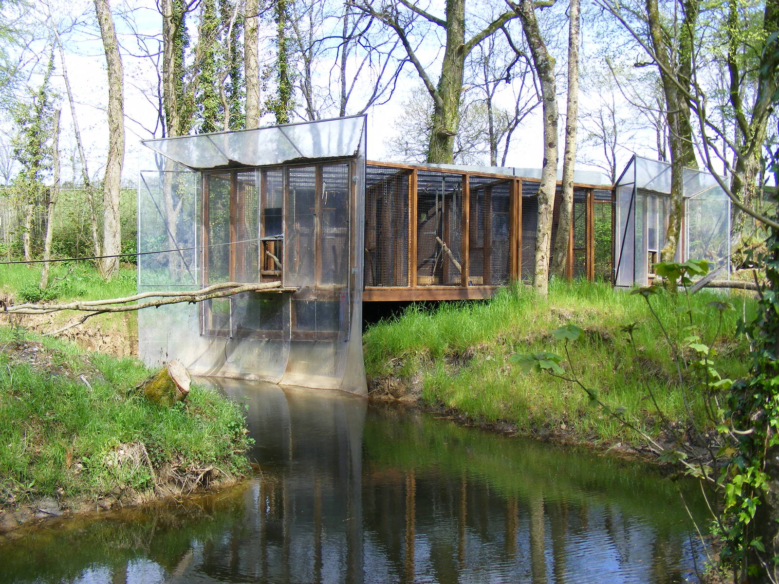 Siamang gibbon and black and white ruffed lemur housing at Manor House Wild