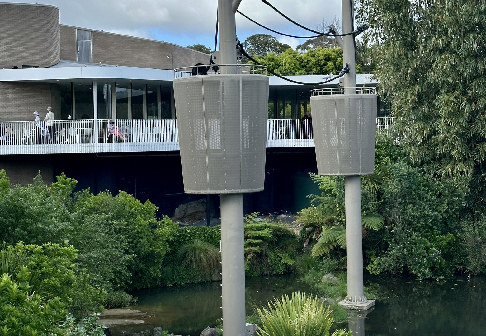 Siamang in Aerial Pathway Tower