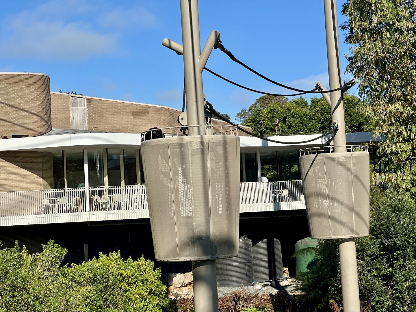 Siamang in Aerial Ropes Pod