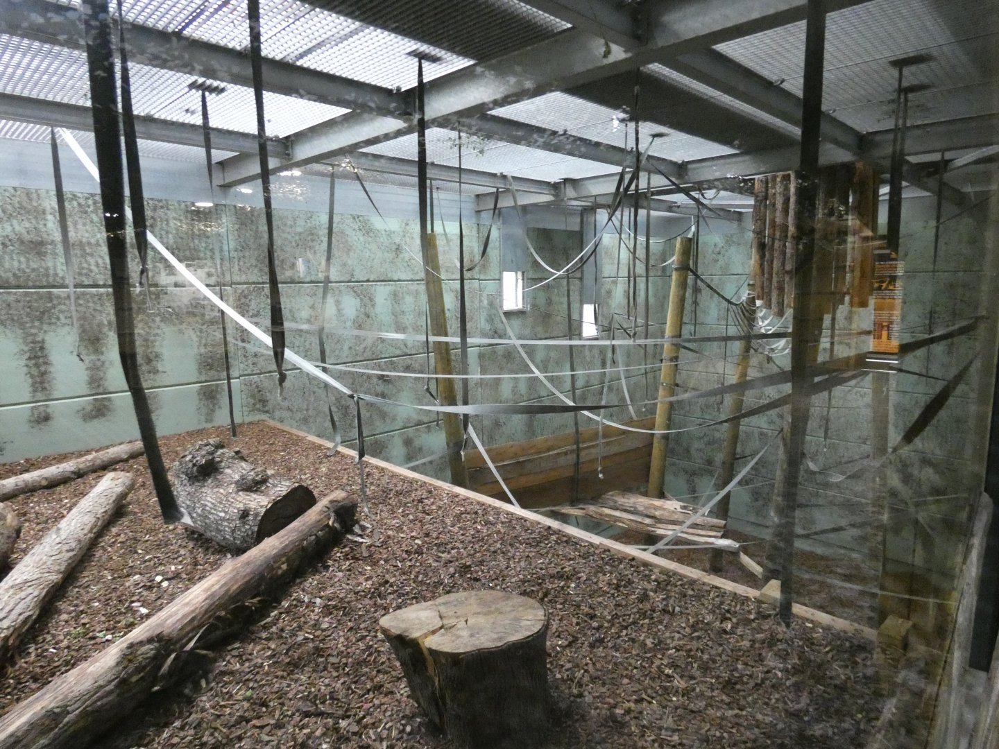 Siamang indoor enclosure