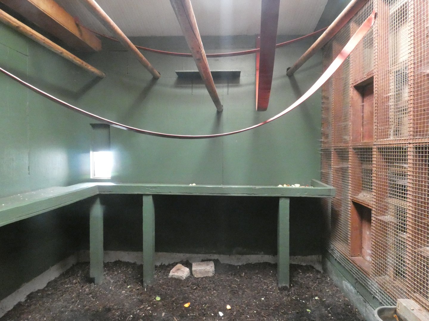 Siamang indoor enclosure