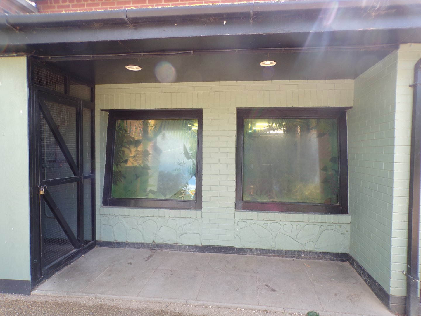 Siamang indoor viewing windows 7.7.24