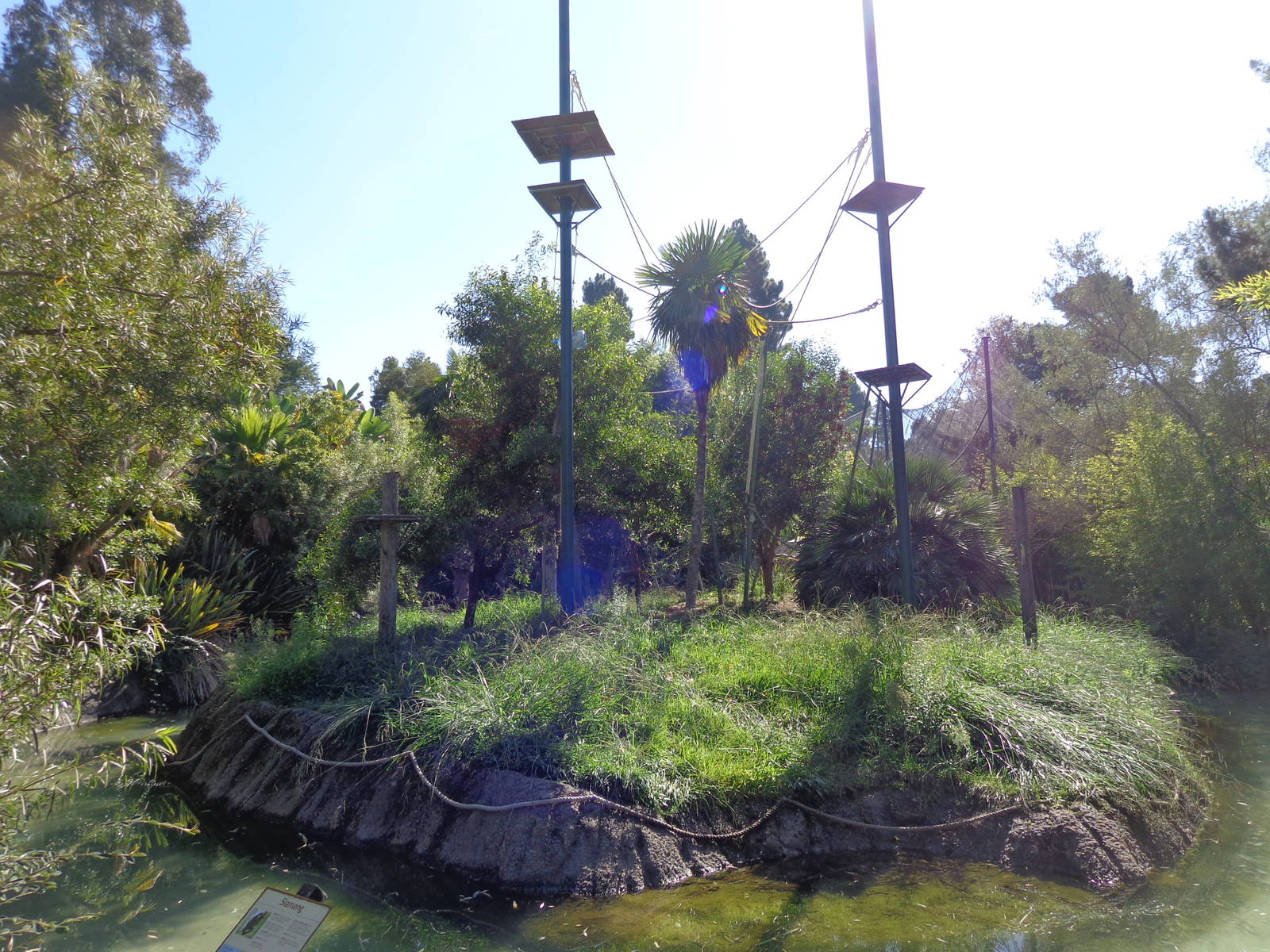 Siamang Island (2014) #1