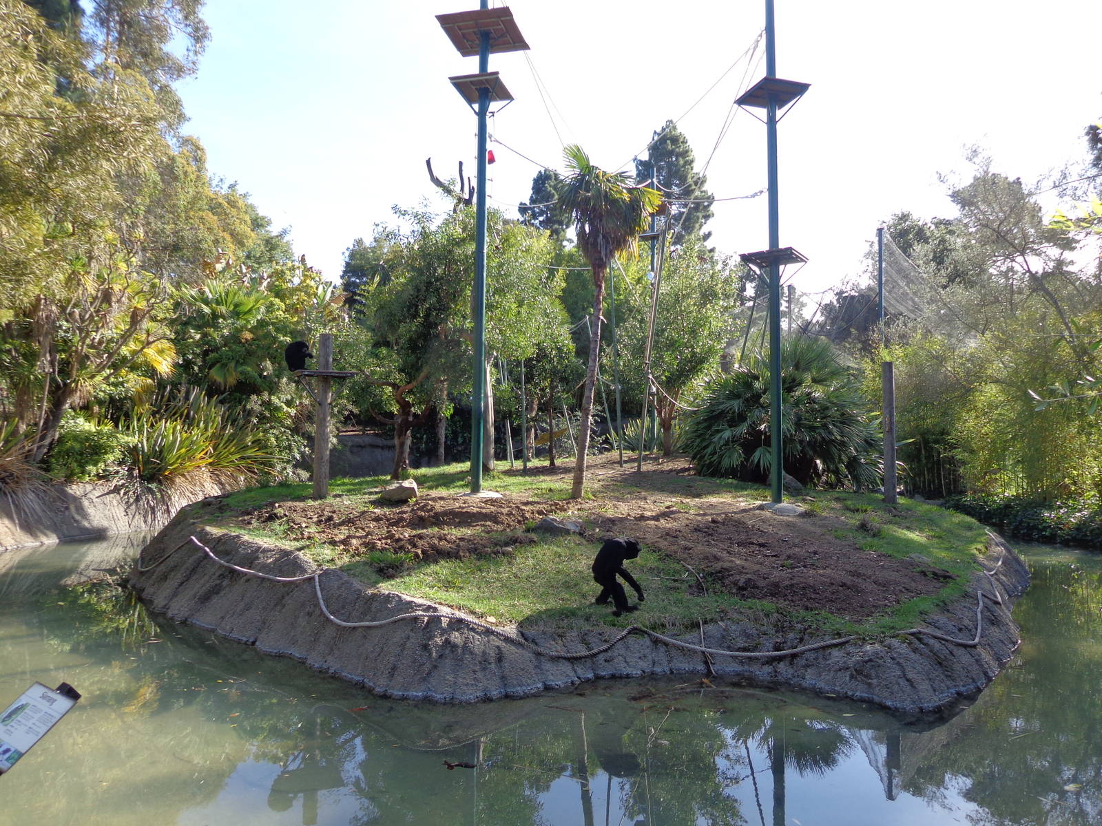 Siamang Island (2014)