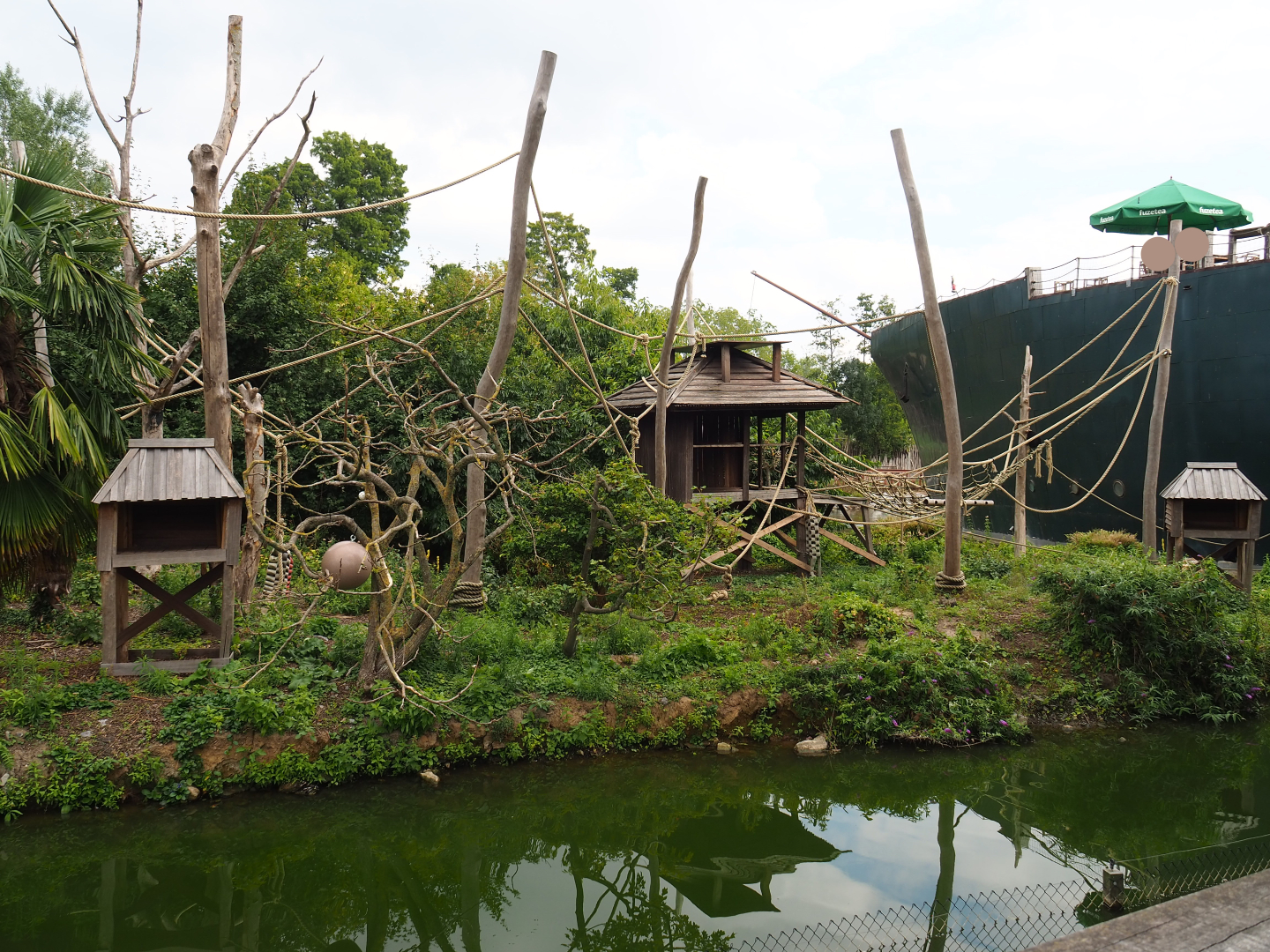 Siamang island, 2020-09-02