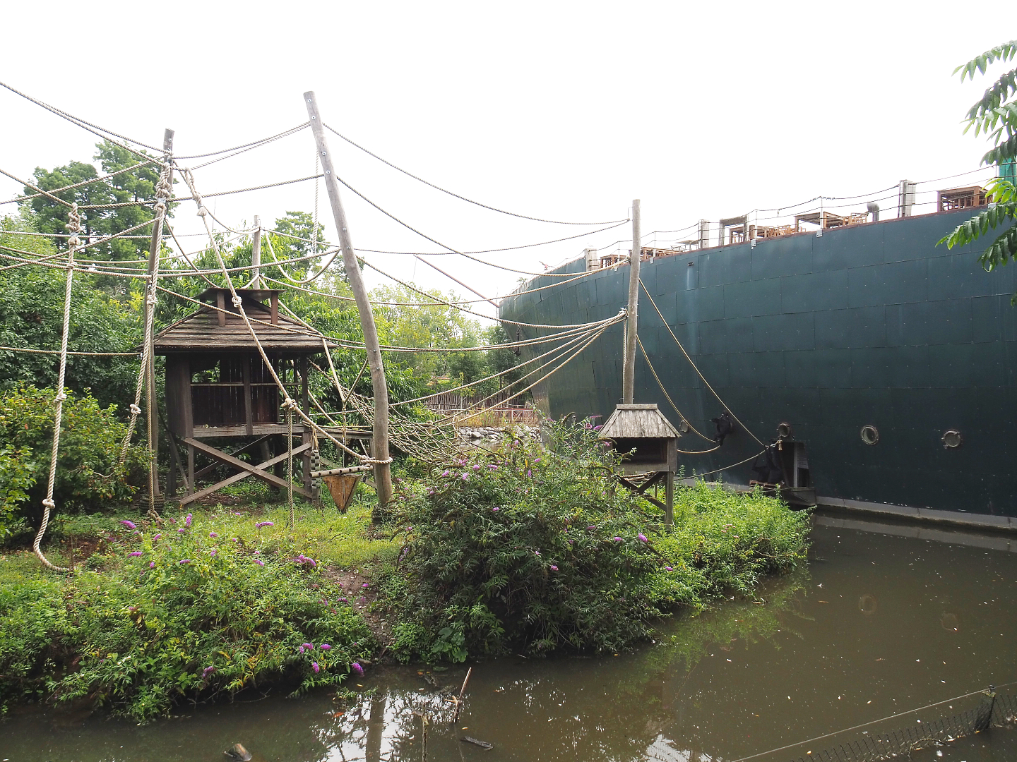 Siamang island, 2022-09-15