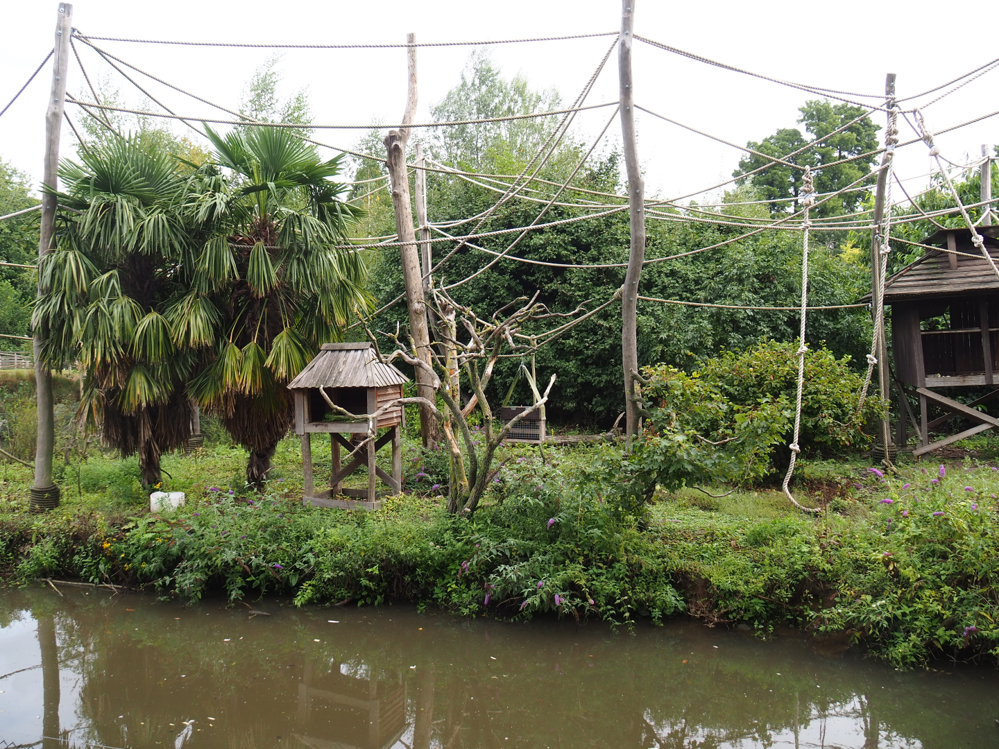 Siamang island, 2022-09-15