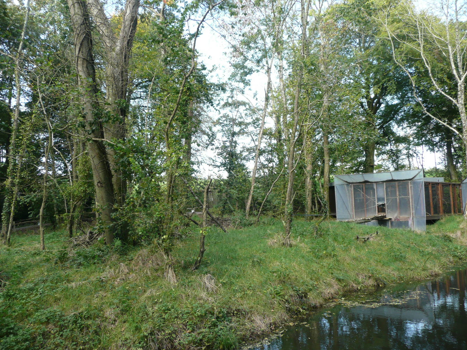 Siamang Island . 7th October 2010 .