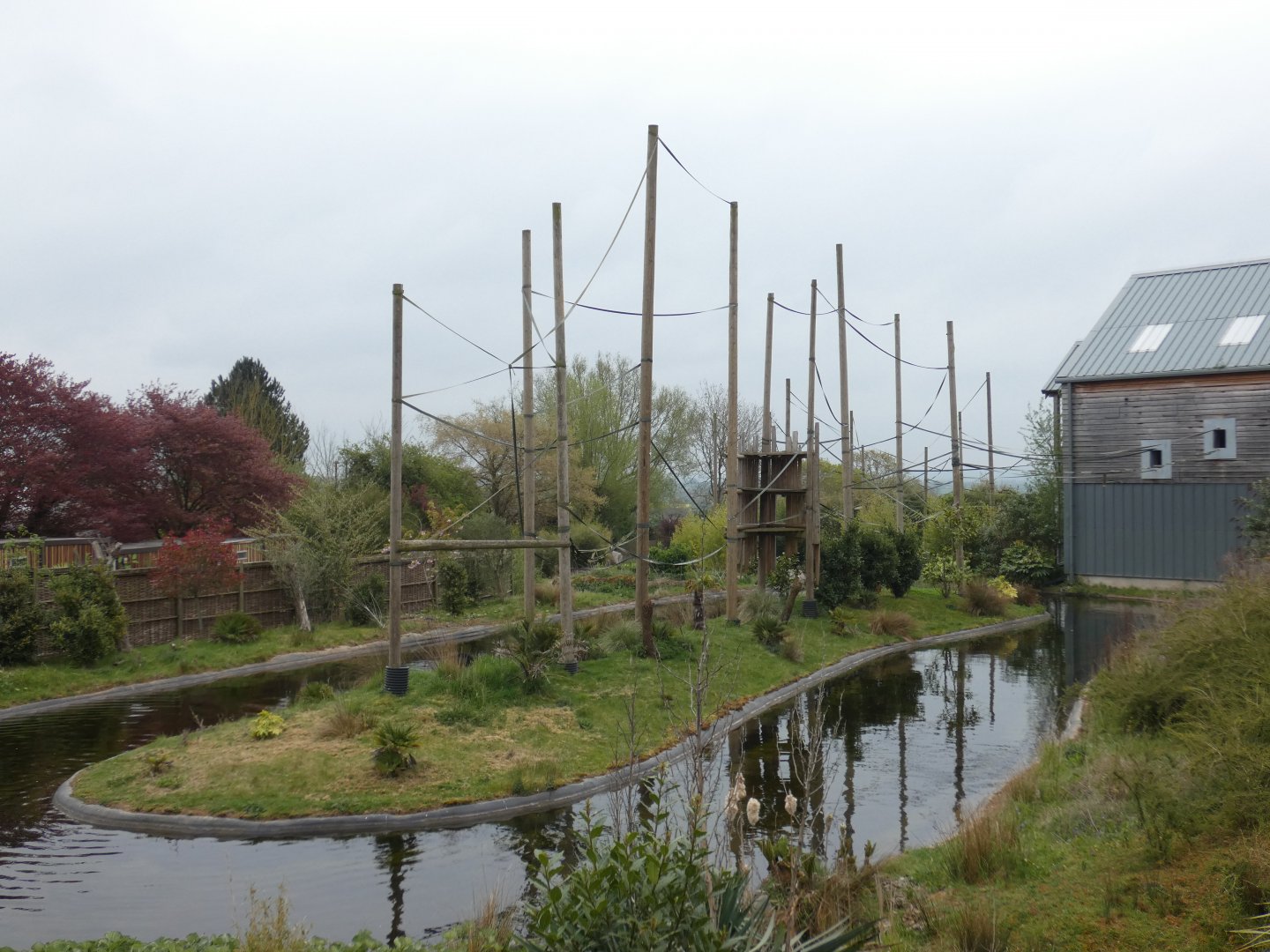 Siamang island in Gibbon Forest
