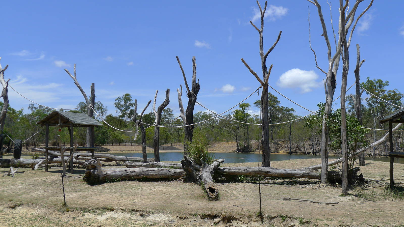 Siamang Island in the Hippo lake