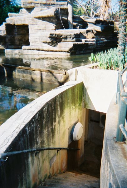 Siamang Island Keeper Access