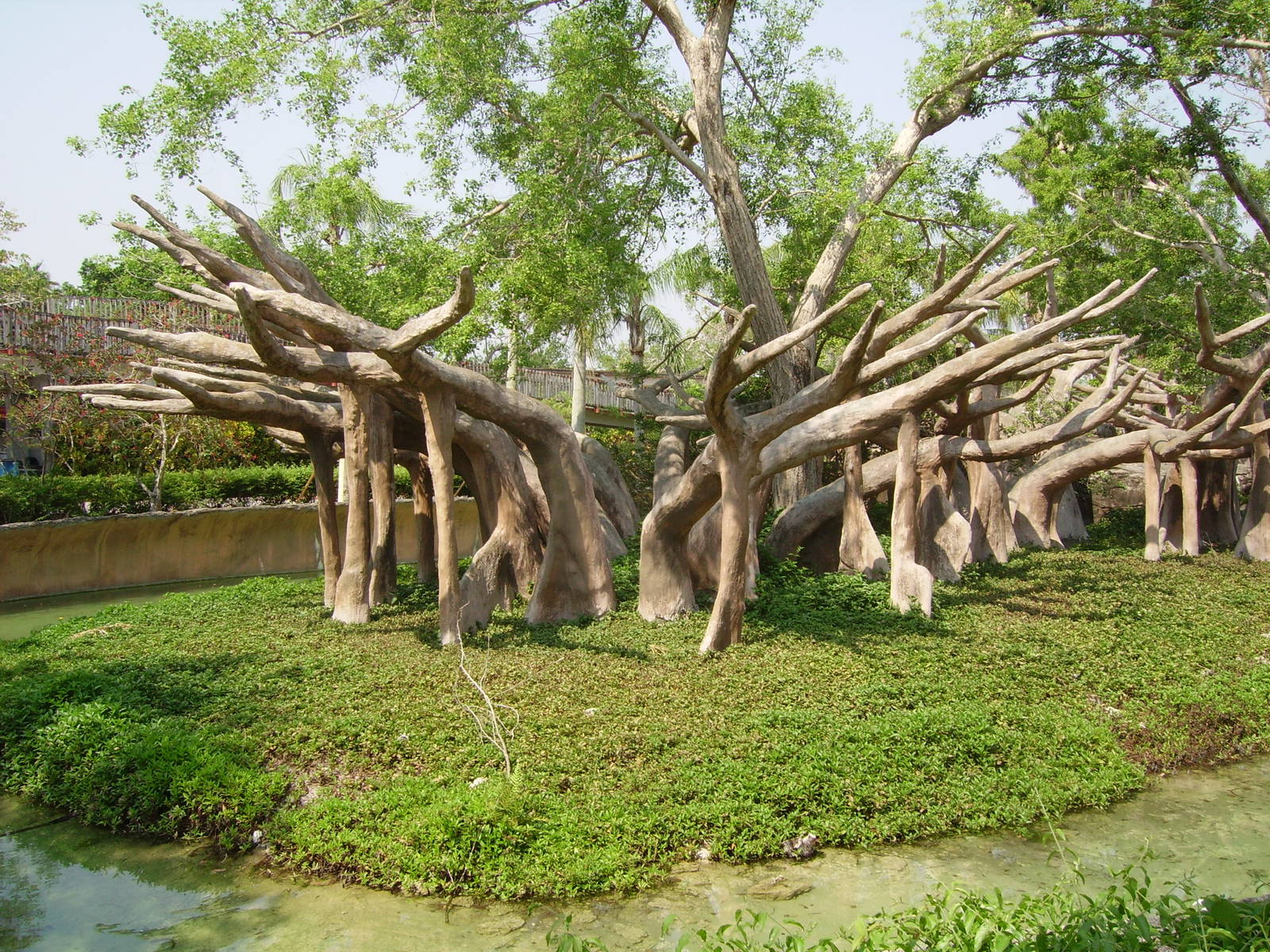 Siamang Island - Miami Metrozoo