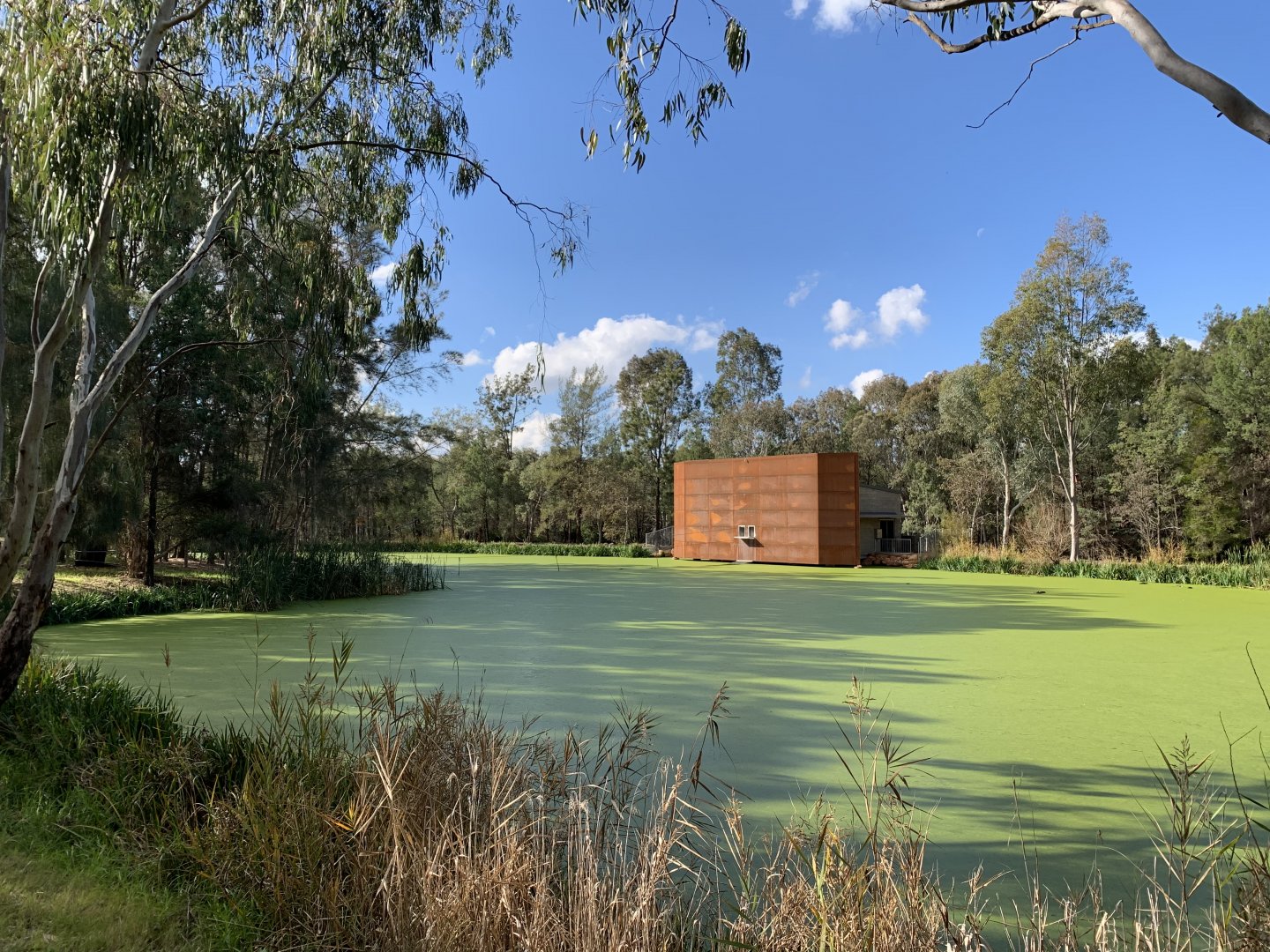 Siamang Night Quarters