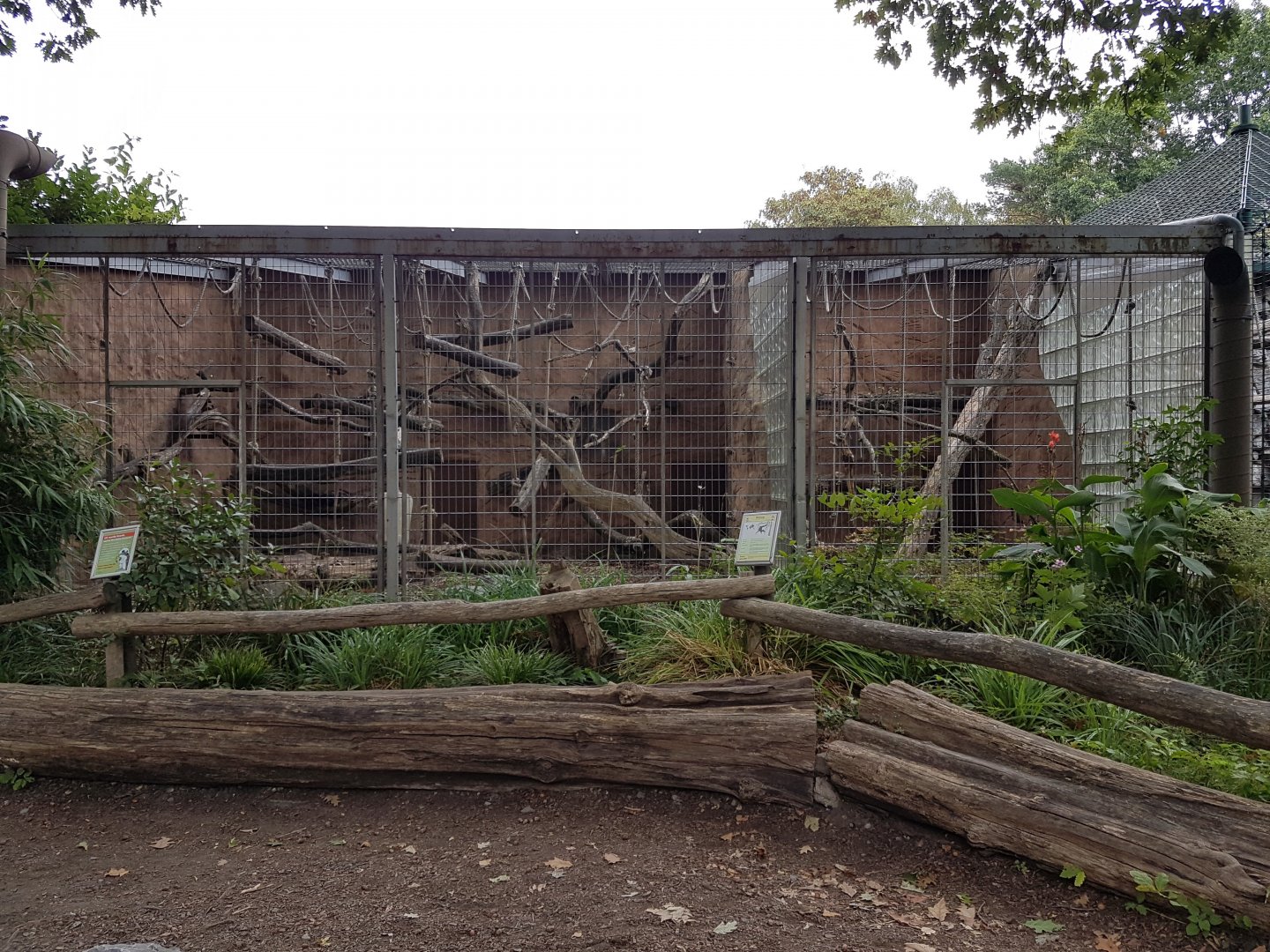 Siamang outdoor-enclosure