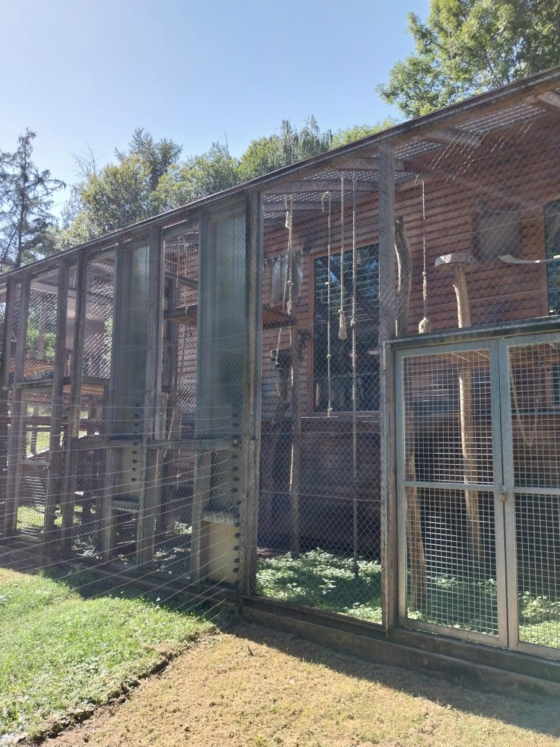 Siamang separation cage