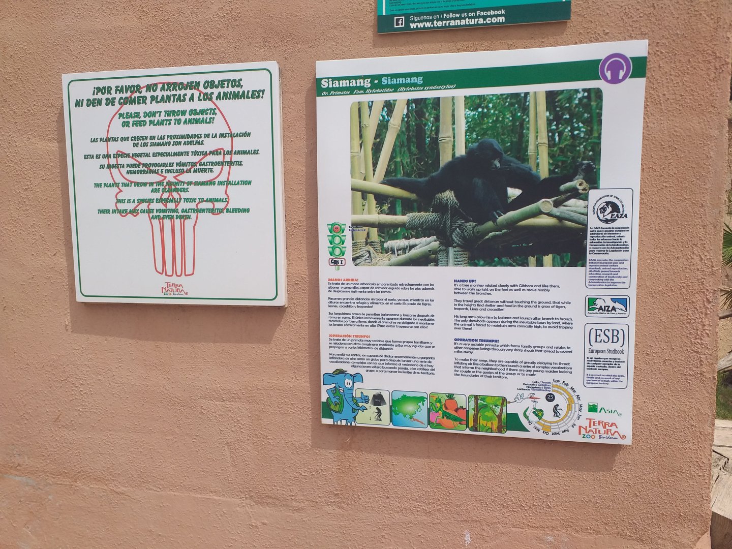 Siamang sign -TerraNatura Benidorm (2021)