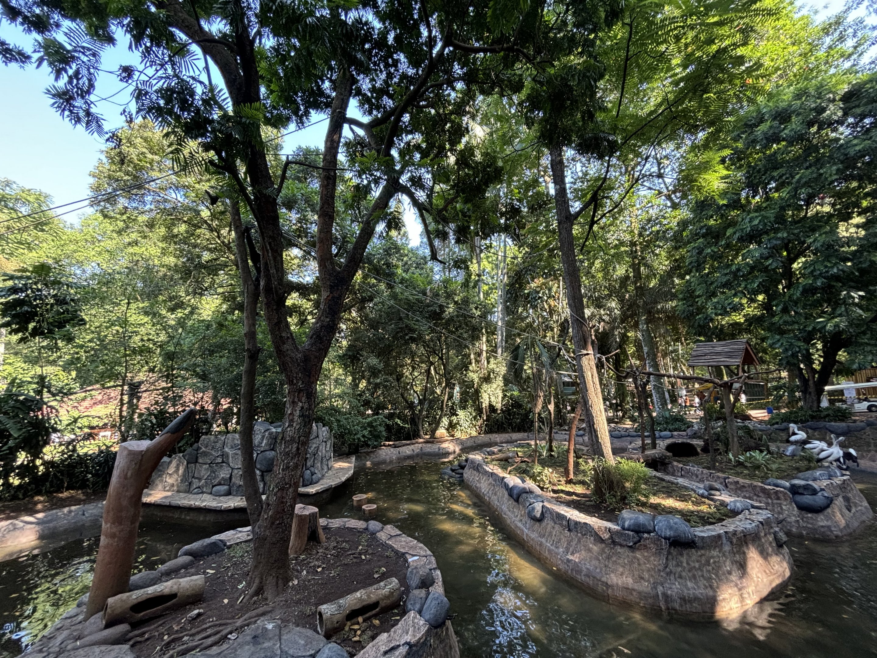 Siamang/Small-clawed Otter/Pelican Exhibit