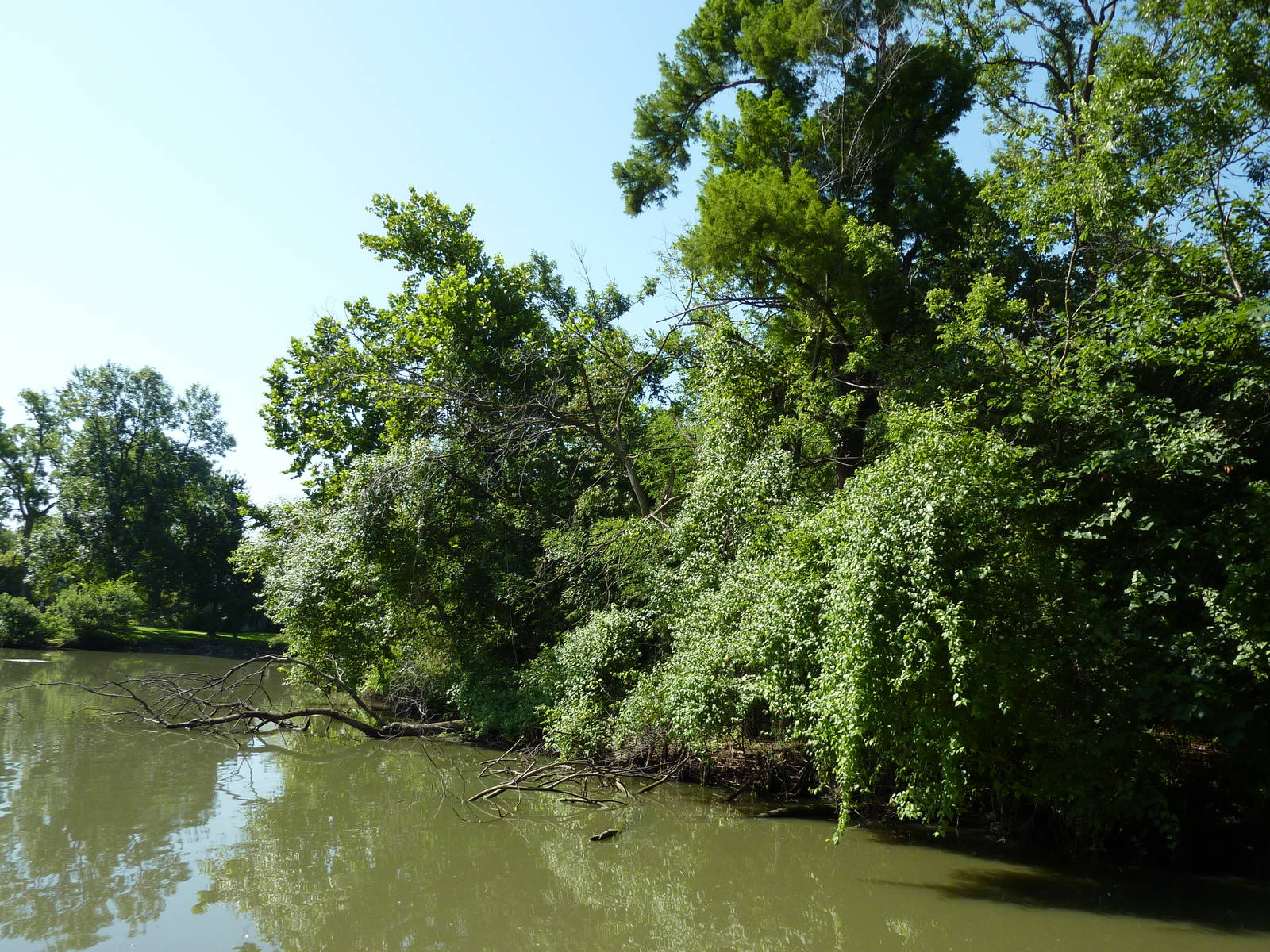 Siamang/Spectacled Langur Island