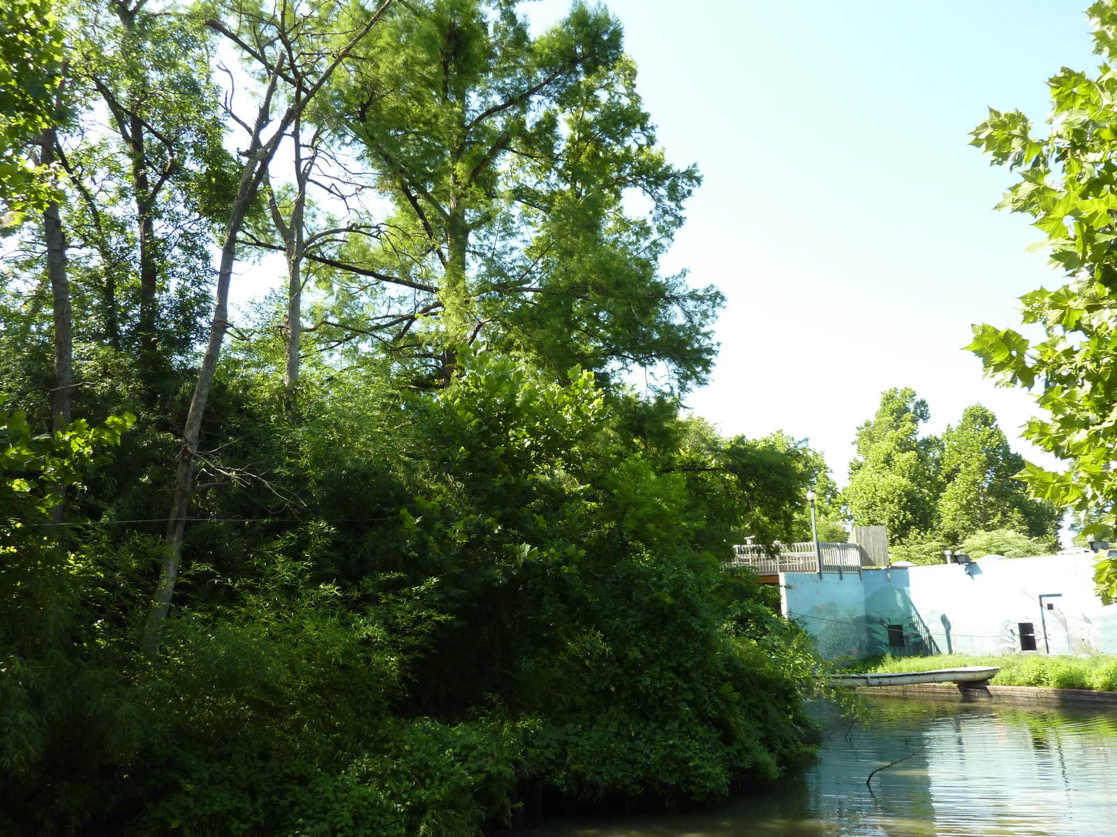 Siamang/Spectacled Langur Island
