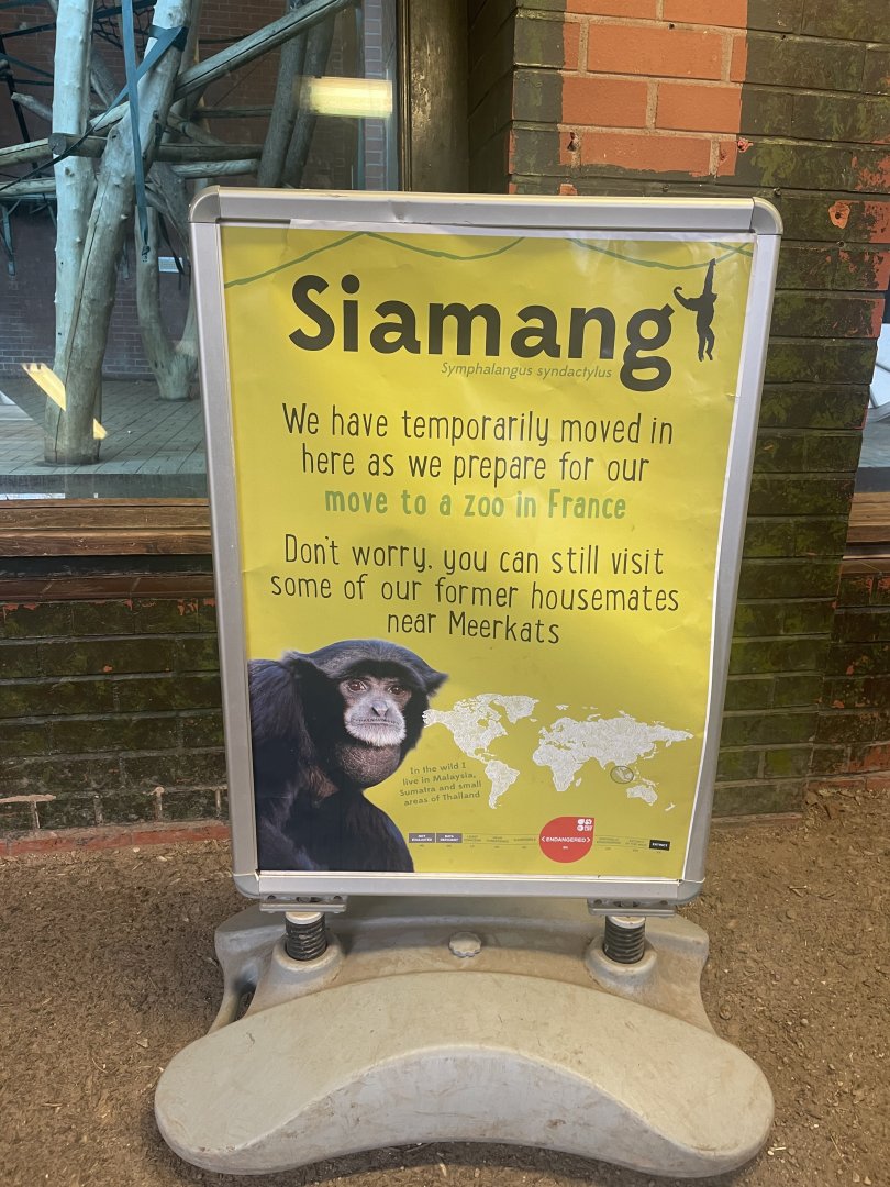 Siamangs leaving signage