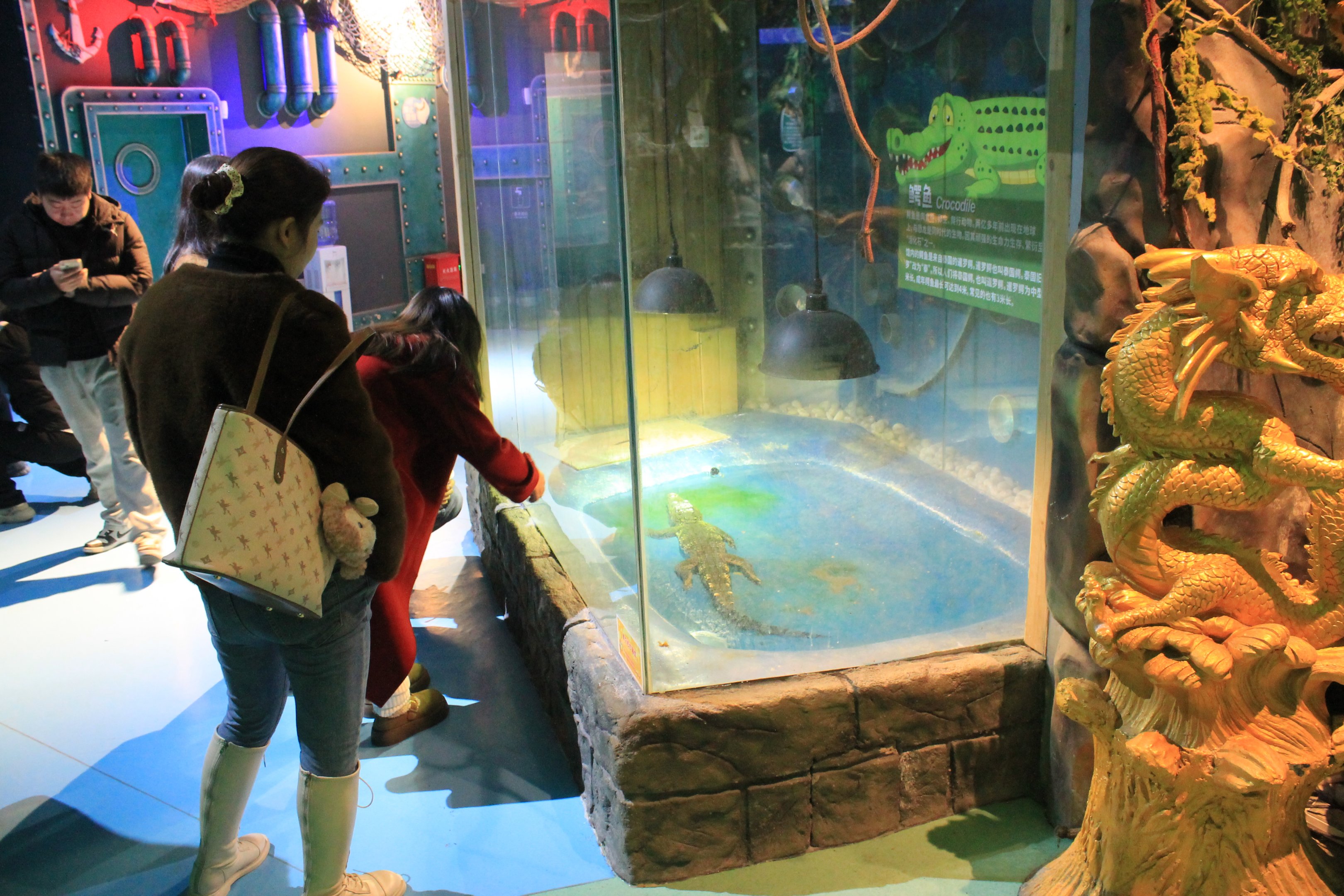 Siamese Crocodile at Fantasy Aquarium, Xi'an