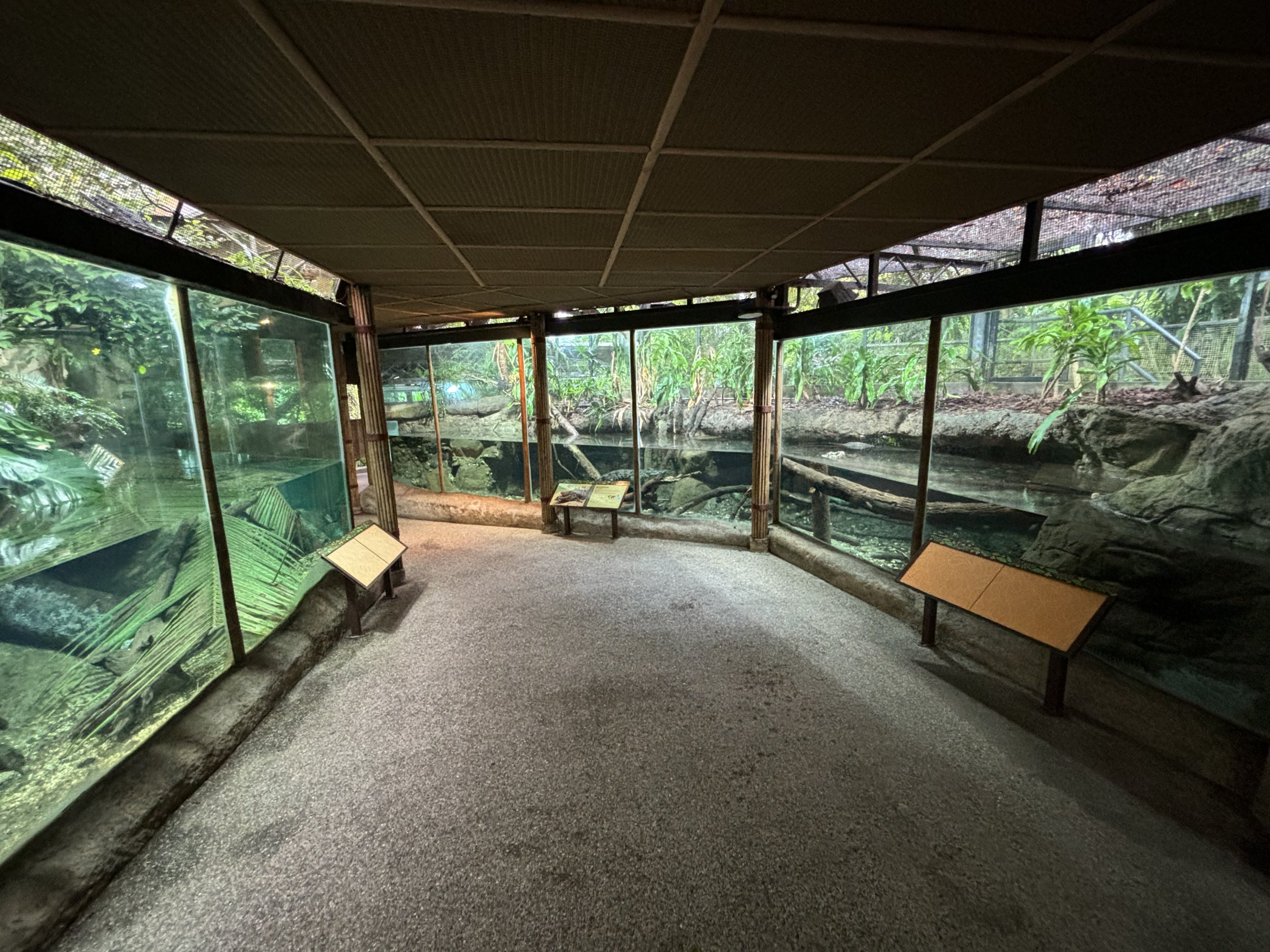 Siamese Crocodile + Chinese Alligator Exhibits
