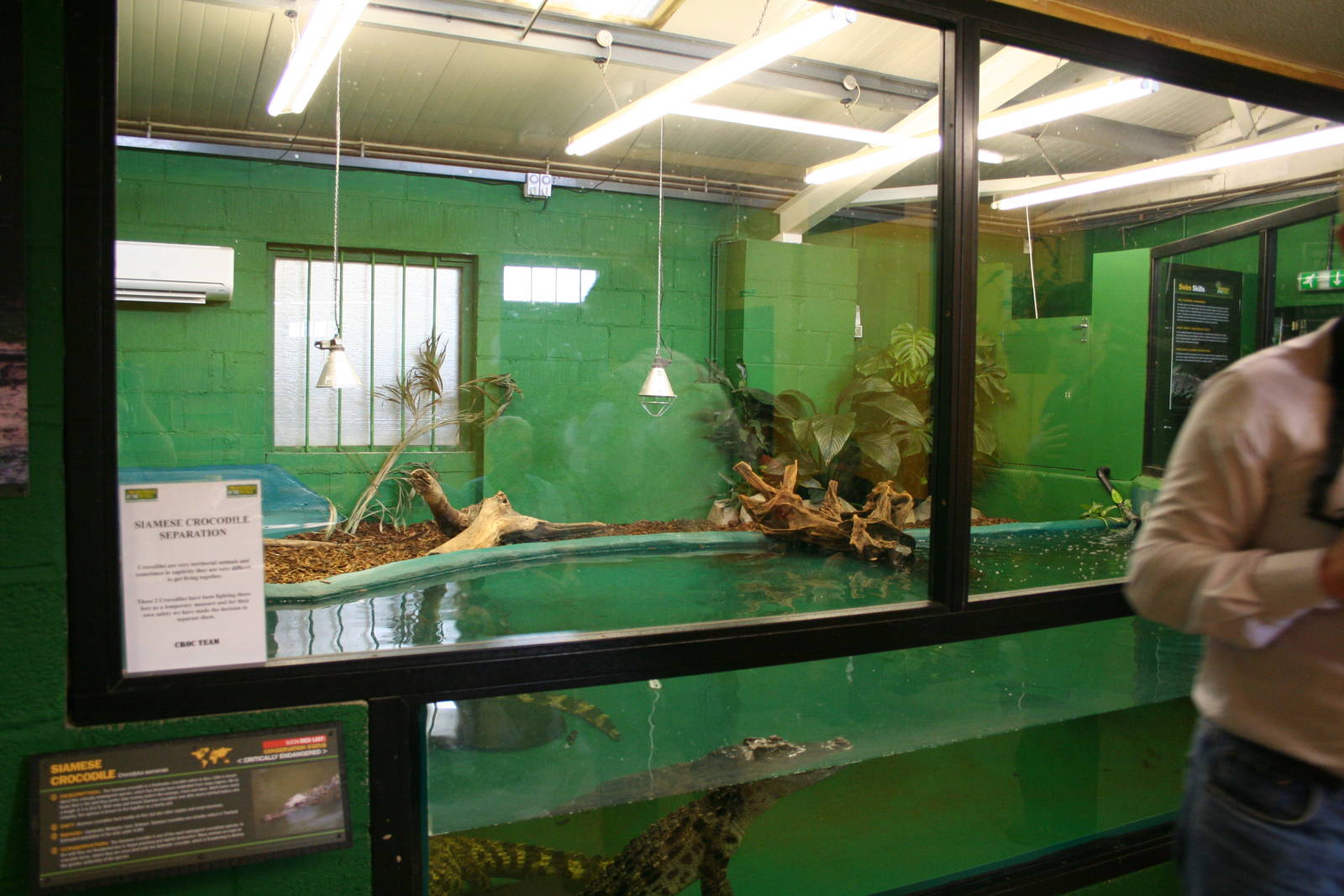 Siamese crocodile enclosure