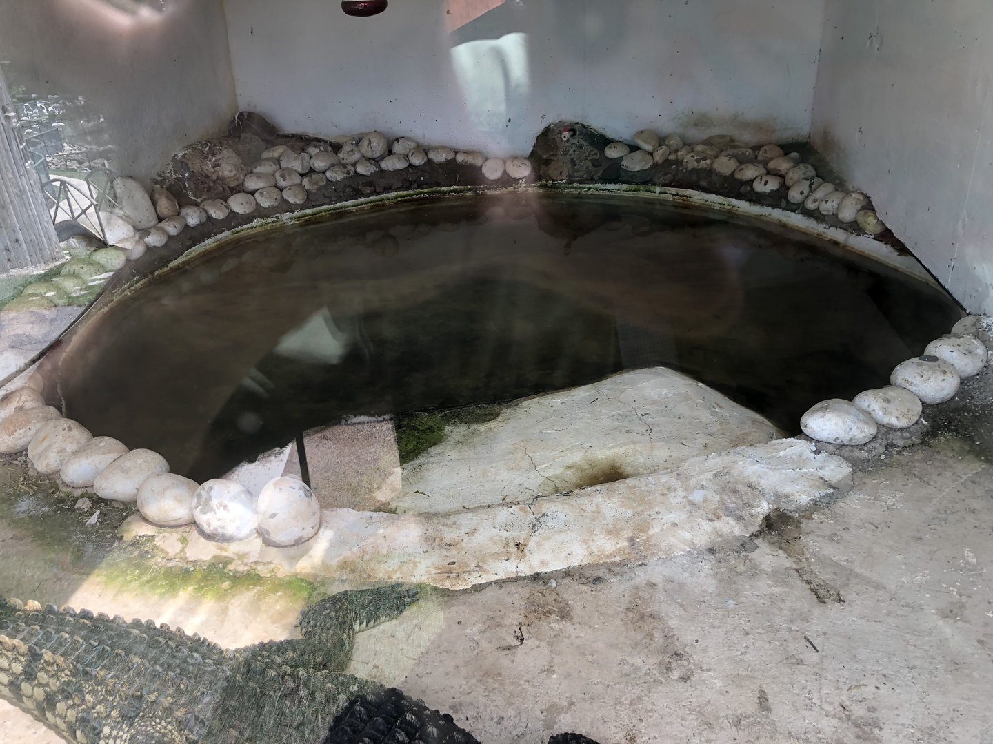 Siamese Crocodile Enclosure