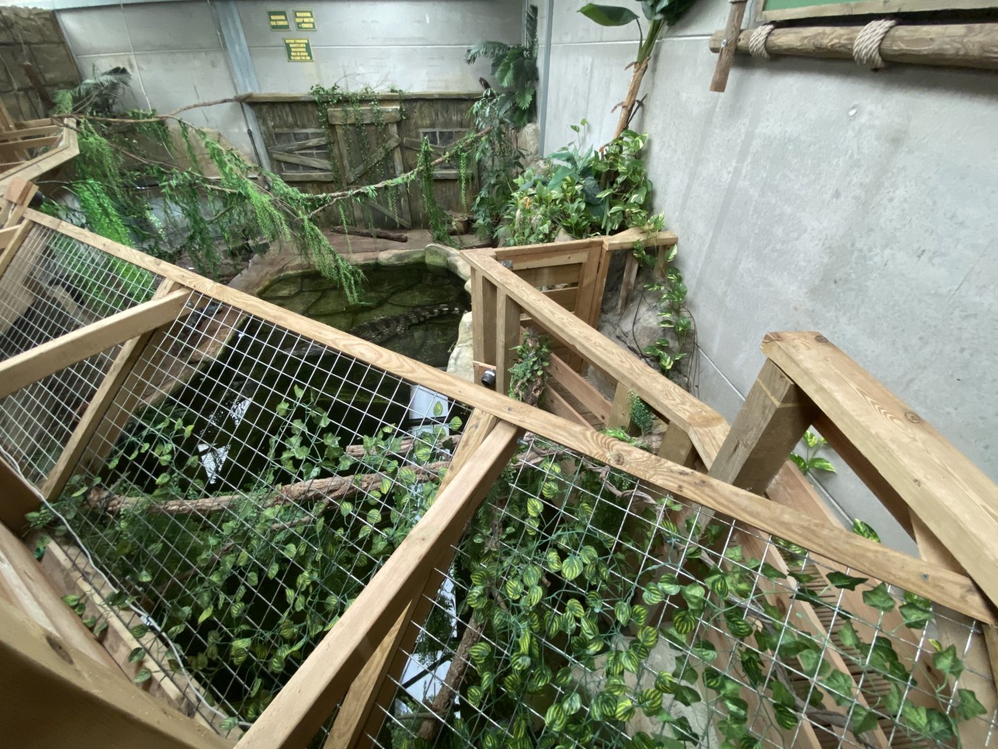 Siamese crocodile enclosure