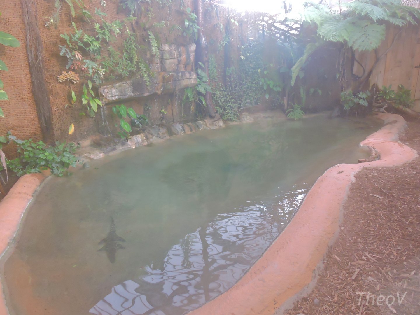 Siamese crocodile exhibit [2016]