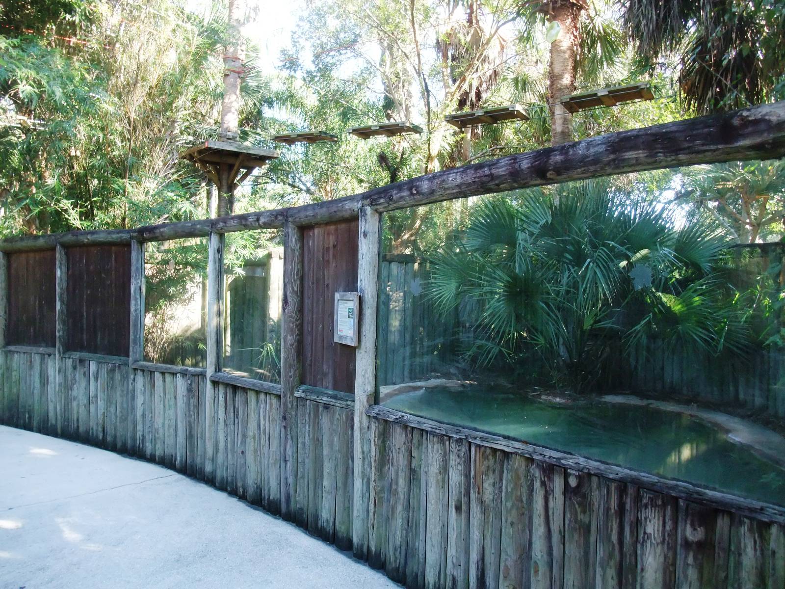 Siamese Crocodile Exhibit at St. Augustine, 11/10/13
