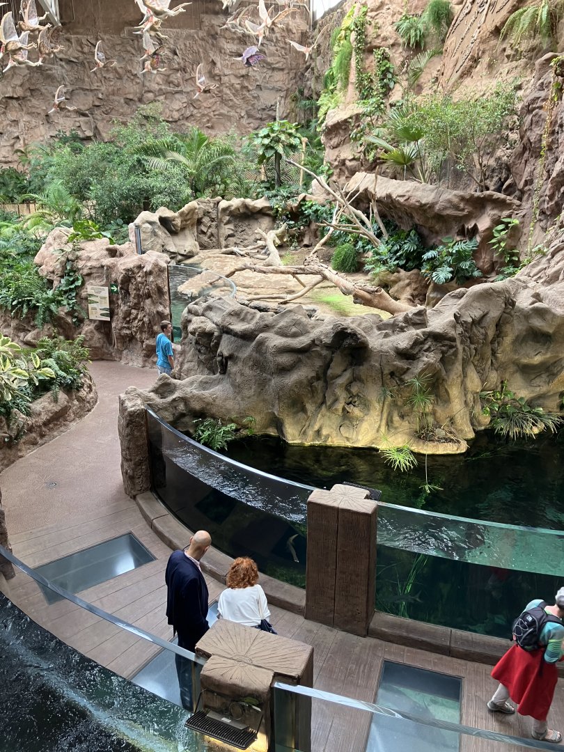 Siamese crocodile exhibit from above