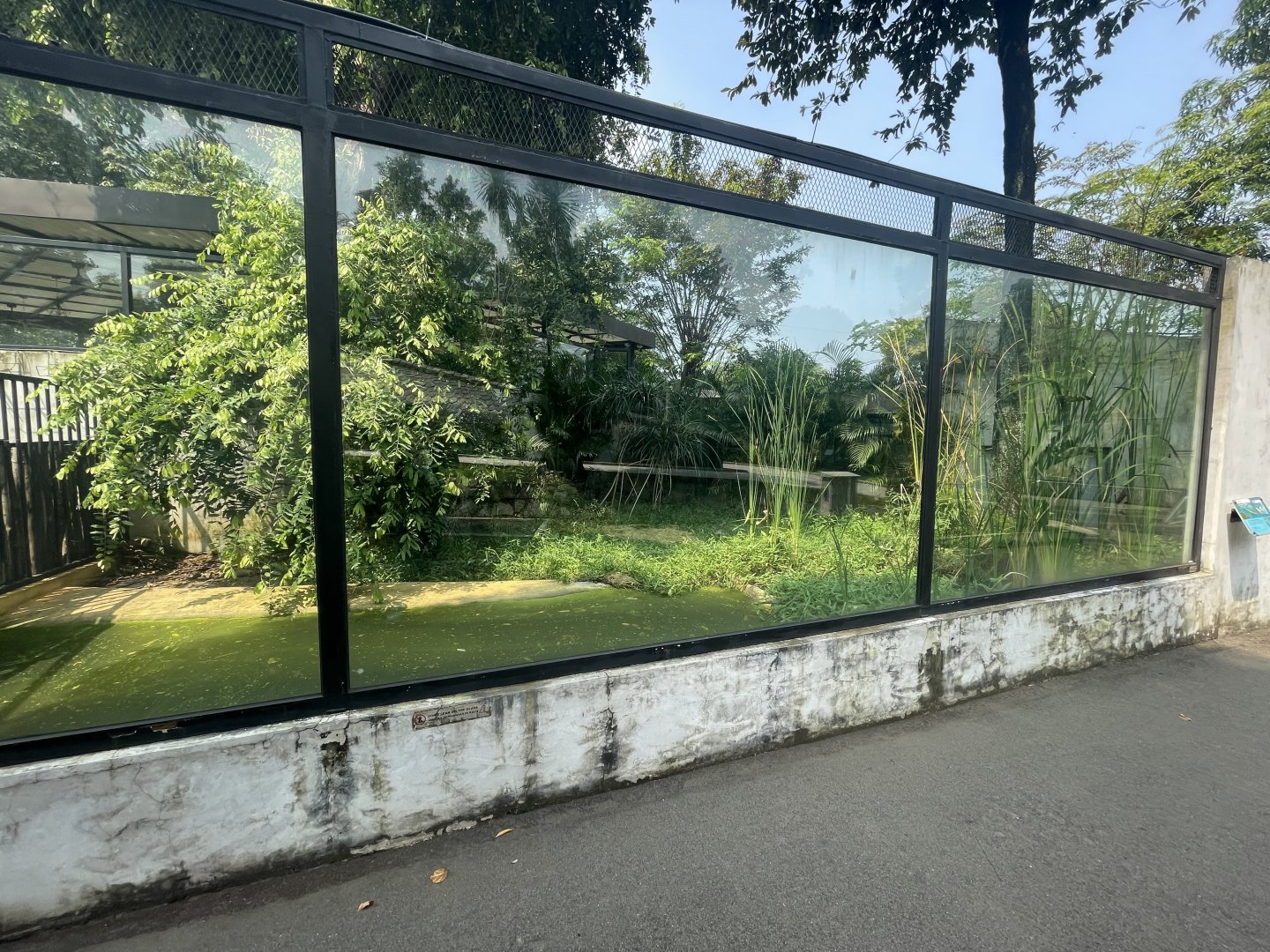 siamese crocodile exhibit - museum komodo