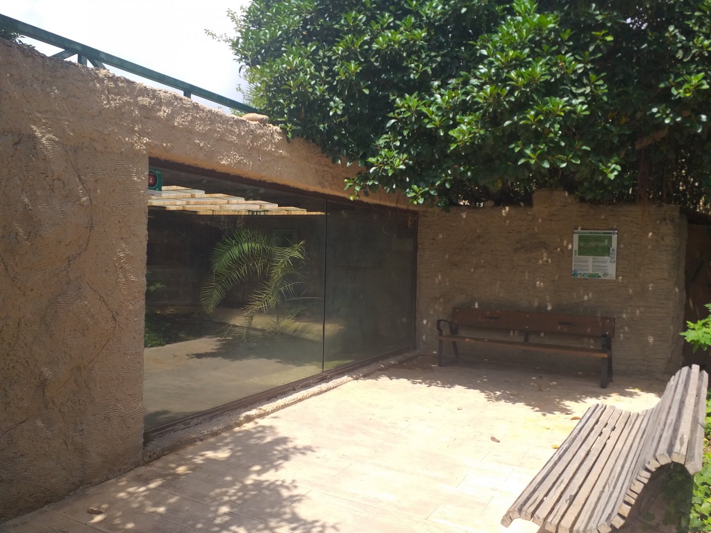 Siamese crocodile exhibit -TerraNatura Benidorm (2021)