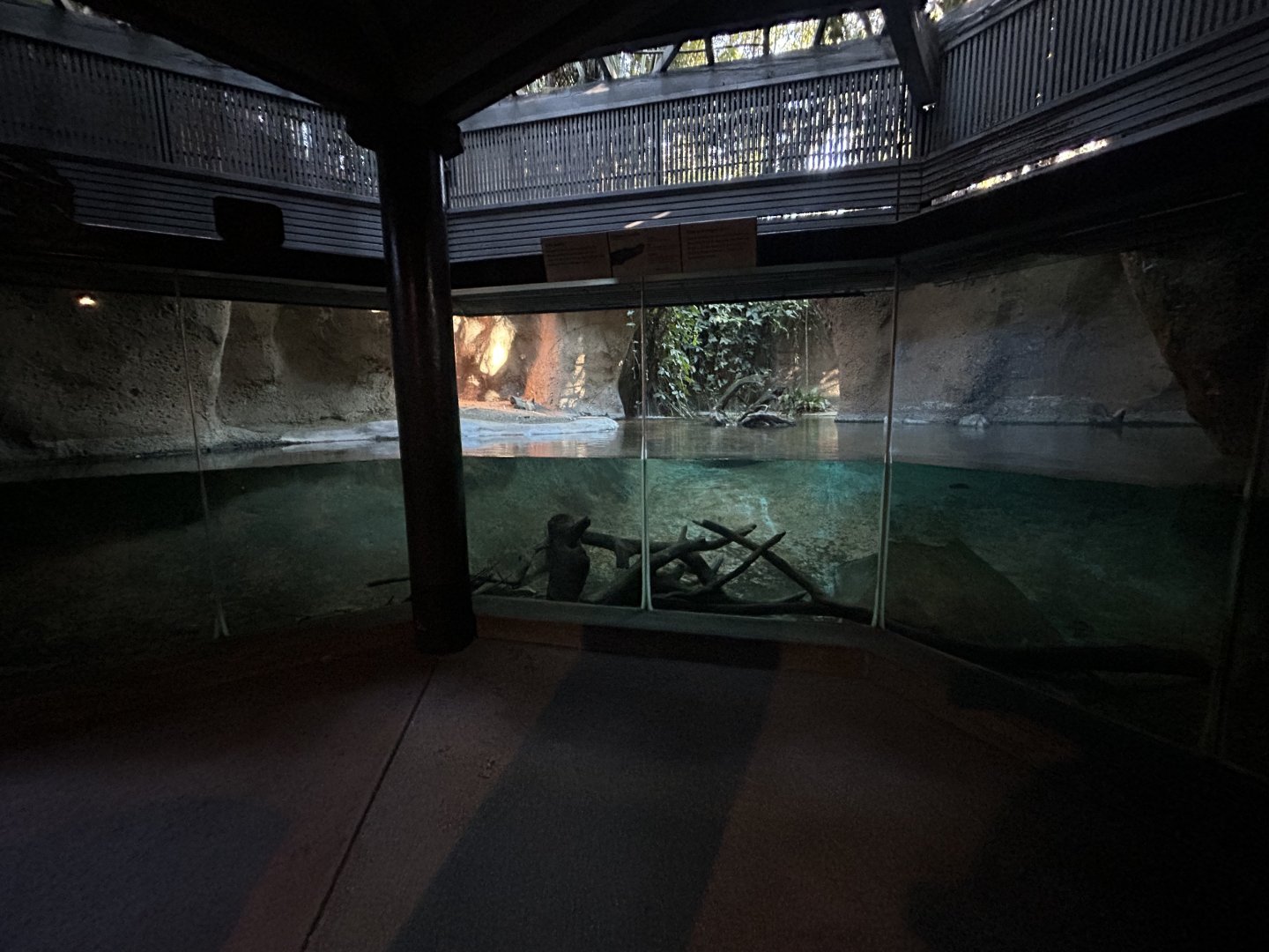 Siamese Crocodile Exhibit - Tiger River