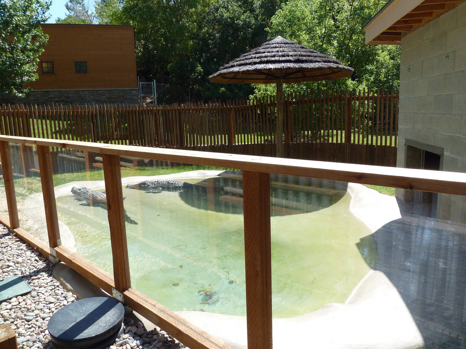Siamese Crocodile Exhibit