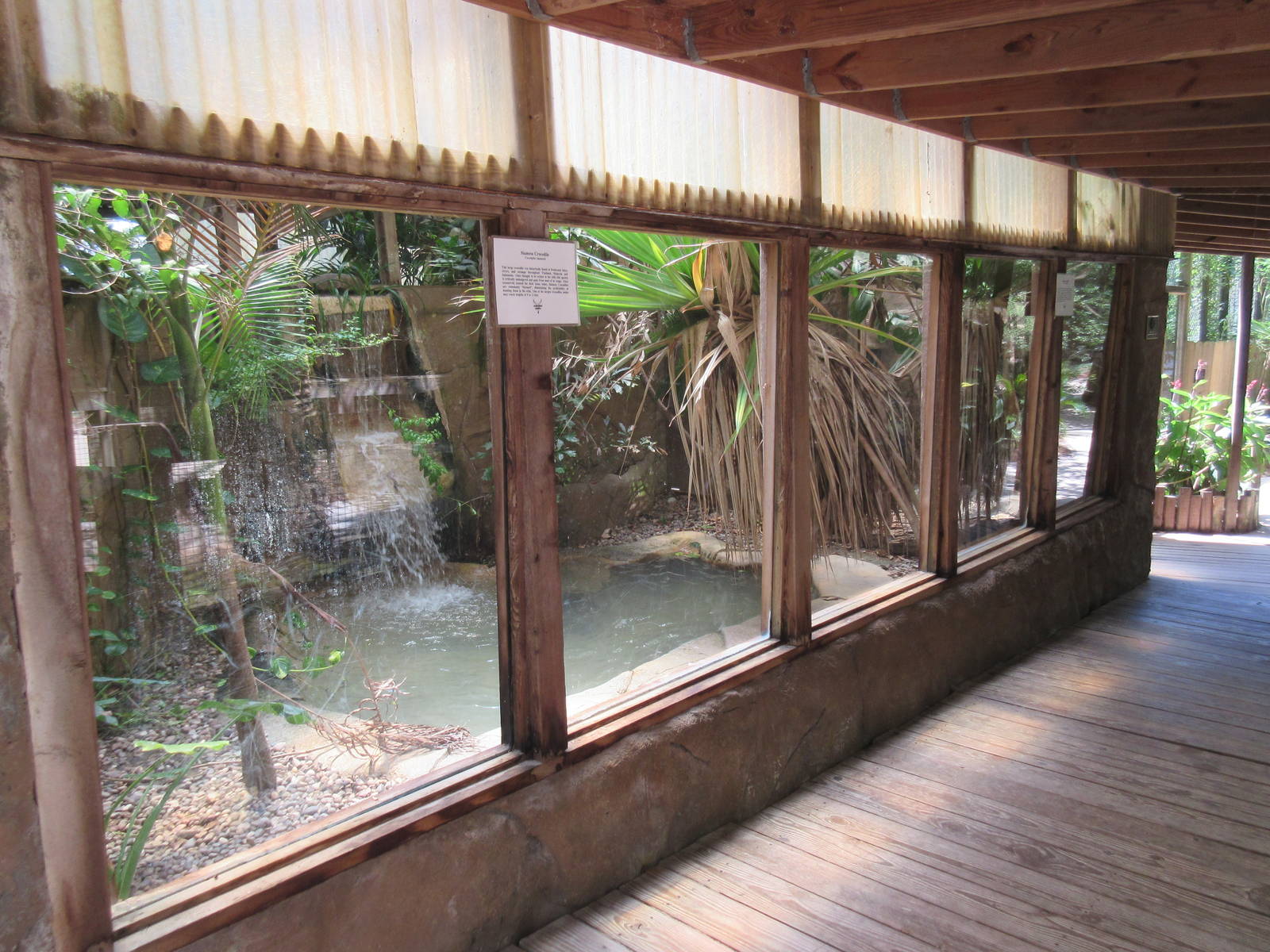 Siamese Crocodile Exhibit