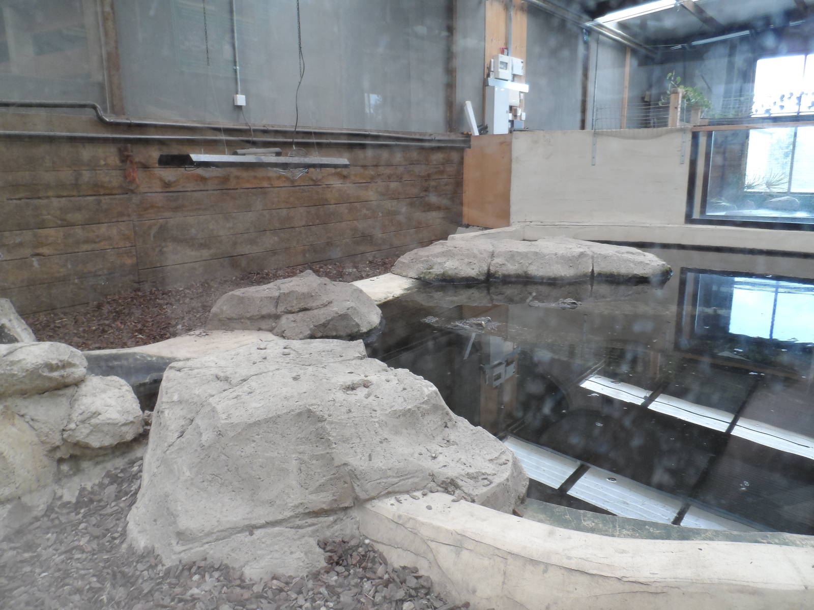 Siamese Crocodile Exhibit