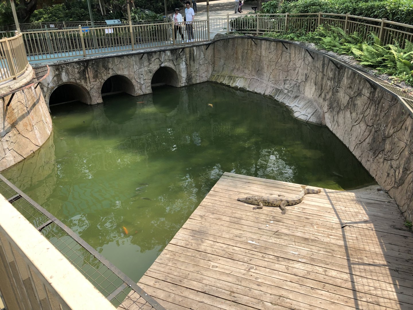 Siamese Crocodile Exhibit