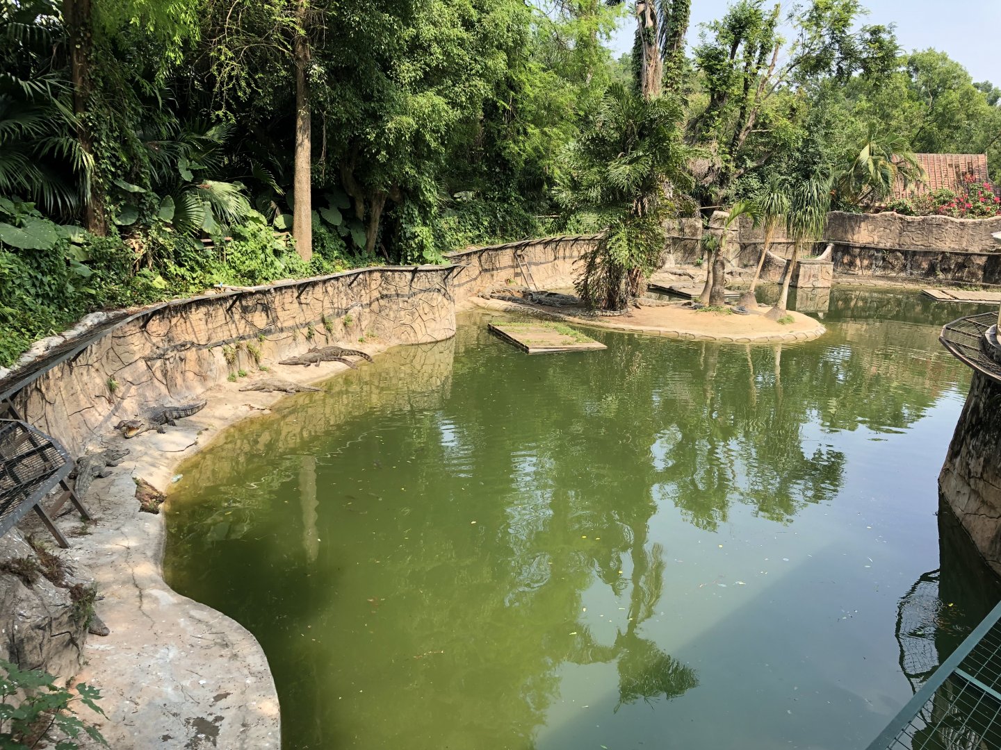 Siamese Crocodile Exhibit