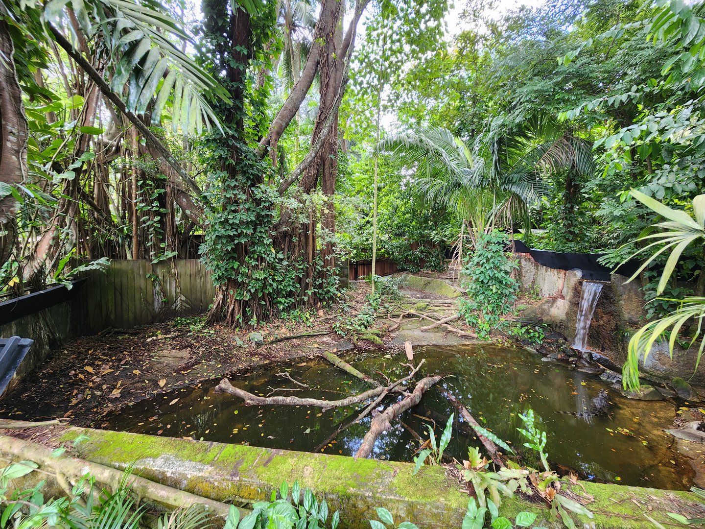 Siamese crocodile exhibit